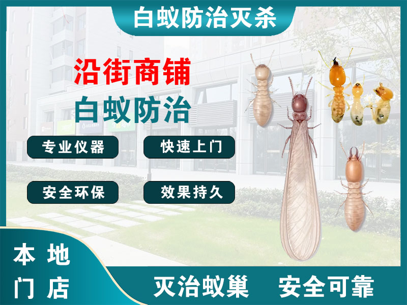 江苏沿街商铺白蚁防治