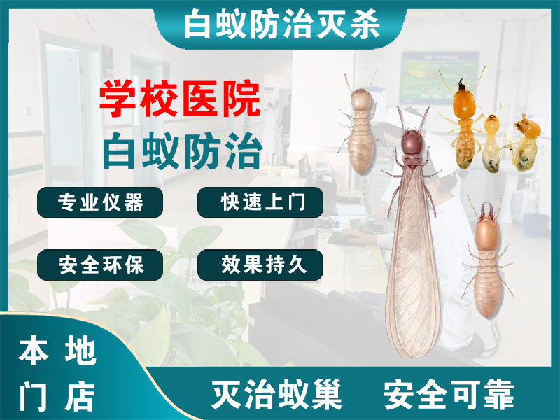 江苏学校医院白蚁防治