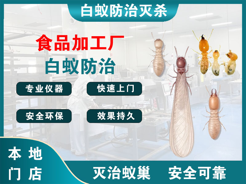 江苏食品加工厂白蚁防治