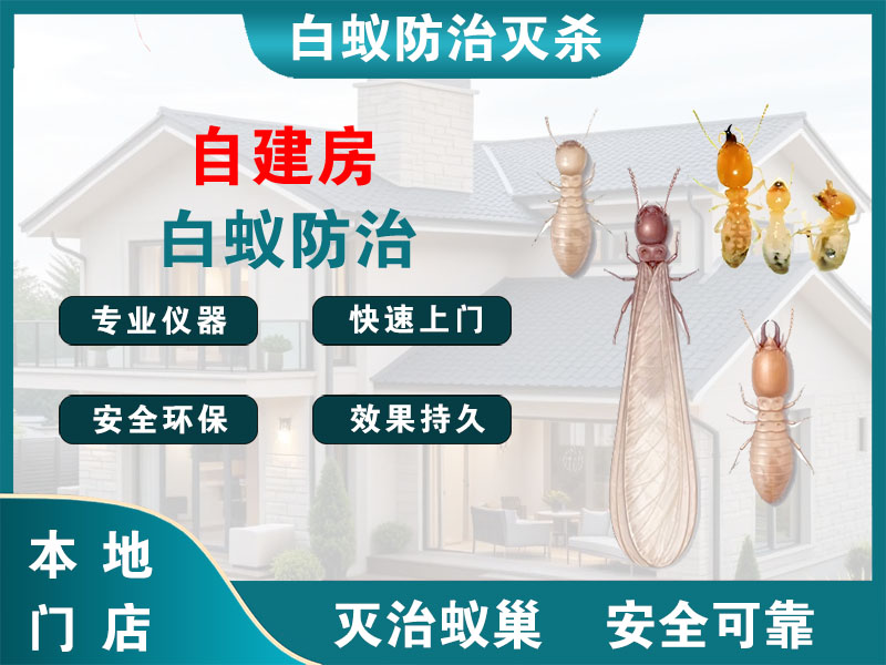 江苏自建房白蚁防治