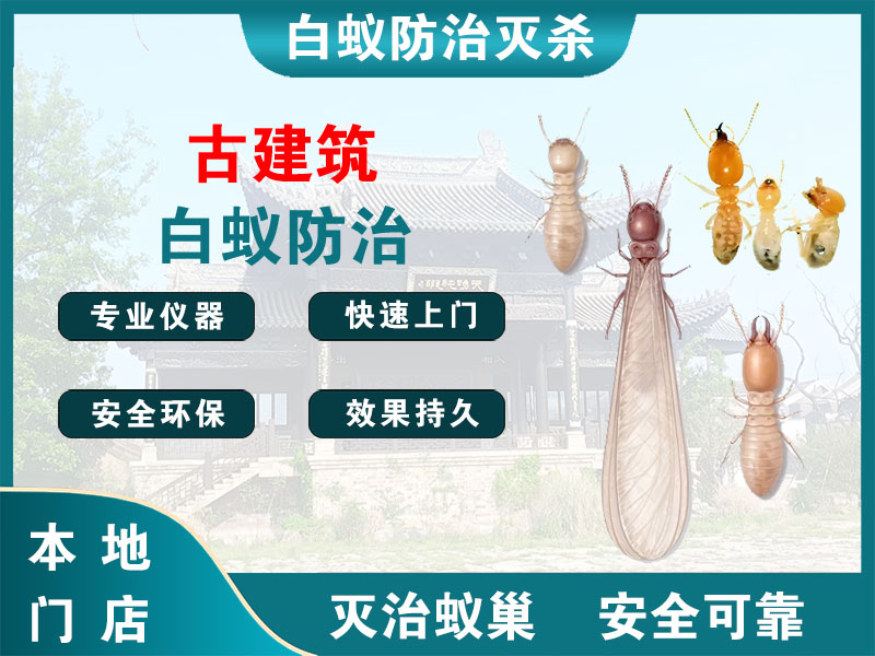 江苏古建筑白蚁防治