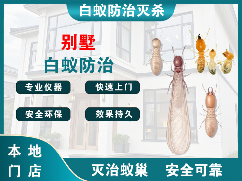 江苏别墅白蚁防治