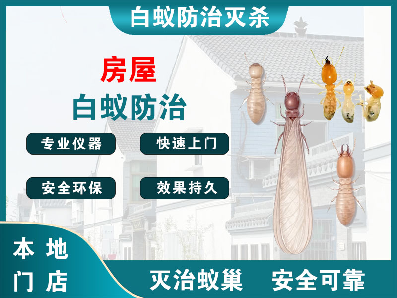 江苏房屋白蚁防治